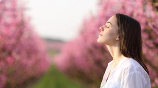 A woman in a flowering orchard, tilting her head slightly back and taking a deep breath of the fresh air