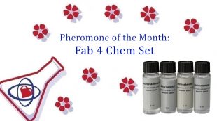 An info card with a cartoon beaker in the bottom corner and blue text that reads "Pheromone of the Month: Fab 4 Chem Set." The text is surrounced by flowers. The Fab 4 Chem Set, a kit of 4 bottles with black screw caps and gray labels, sits in the borrom right corner.